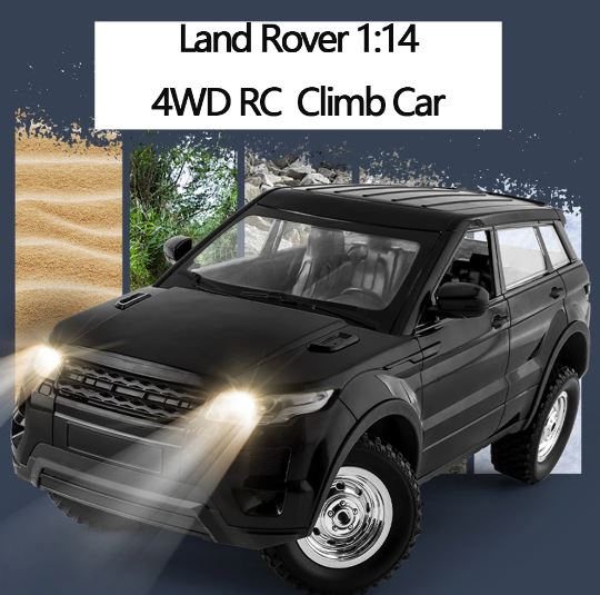 LDRC 1299 RTR 1/14 2.4G 4WD RC Car - Mytoysbh