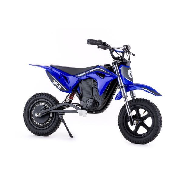 16-D Electric Dirt Bike for Kids